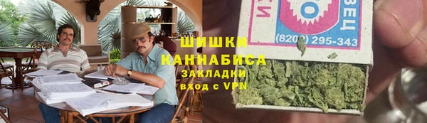 амф Краснослободск